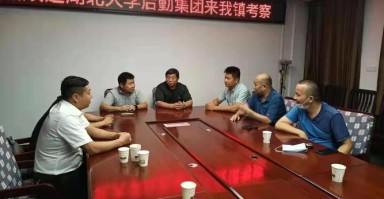 北海至白沙镇货运