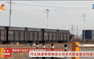 河北标准货运代理供应