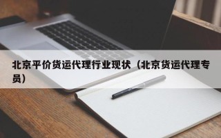 北京平价货运代理行业现状（北京货运代理专员）