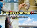广东清远，十一月怎么钓鱼？