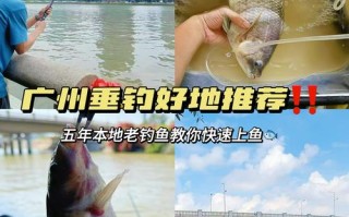 广东清远，十一月怎么钓鱼？