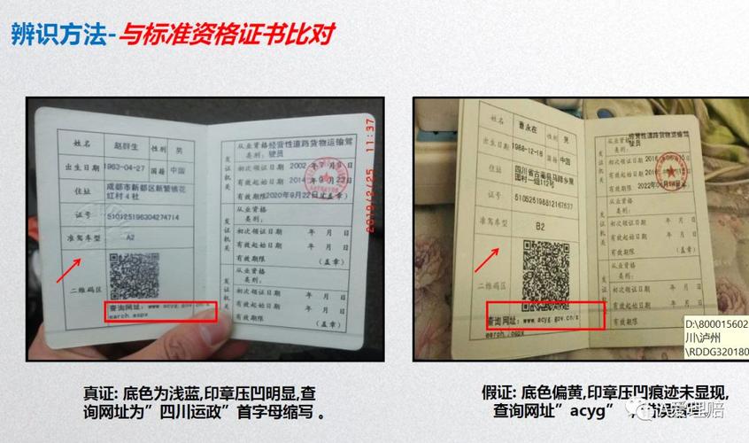 仙桃货运资格证怎么年审的-第1张图片- 顺义货运专线