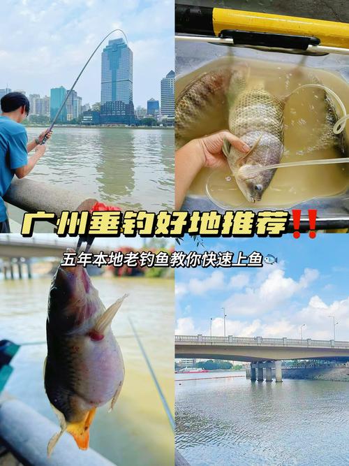 广东清远，十一月怎么钓鱼？-第1张图片- 顺义货运专线